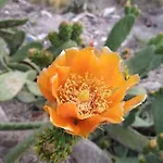 Casa Tijoco Vendégház 3*