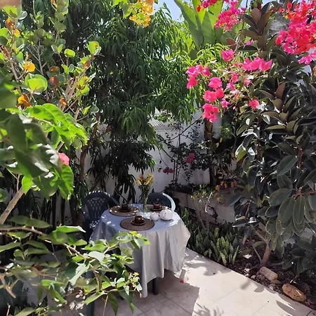 ゲストハウス Casa Tijoco 3*