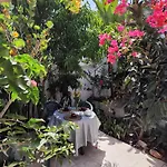 ゲストハウス Casa Tijoco 3*