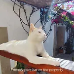 Casa Tijoco ゲストハウス